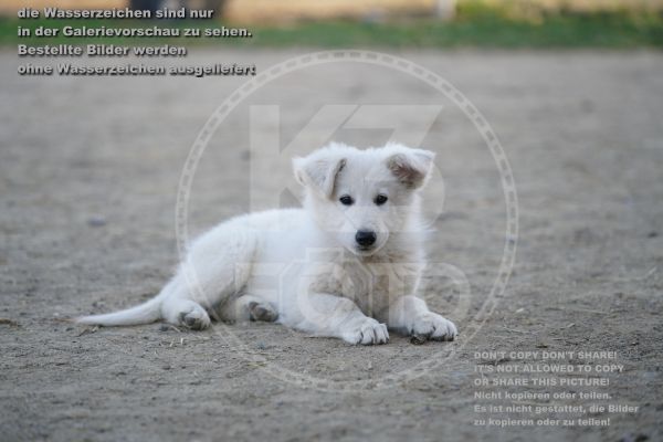 s_K3F01909.jpg
